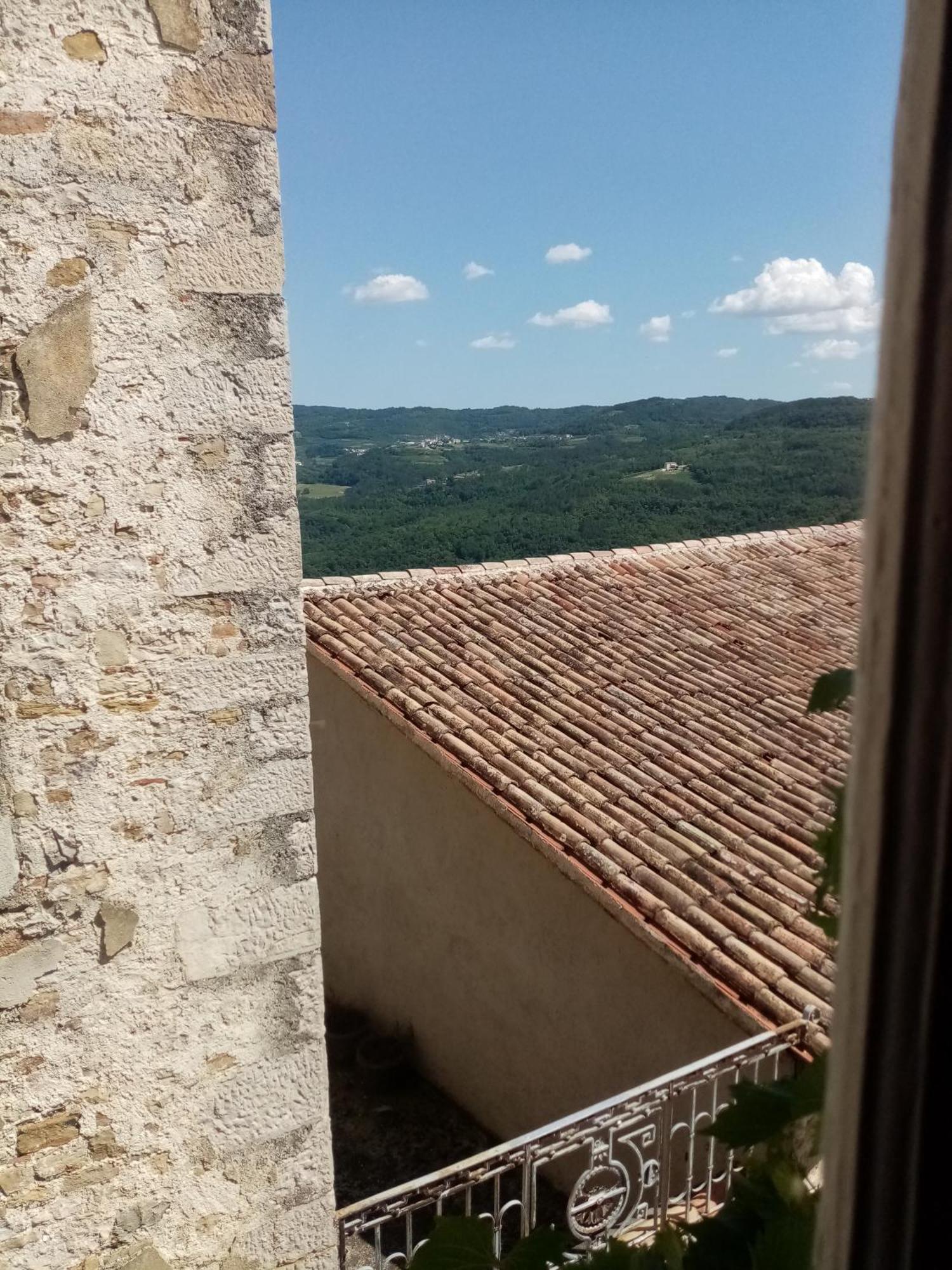 Studio Apartman Bel Vedere Motovun Bagian luar foto