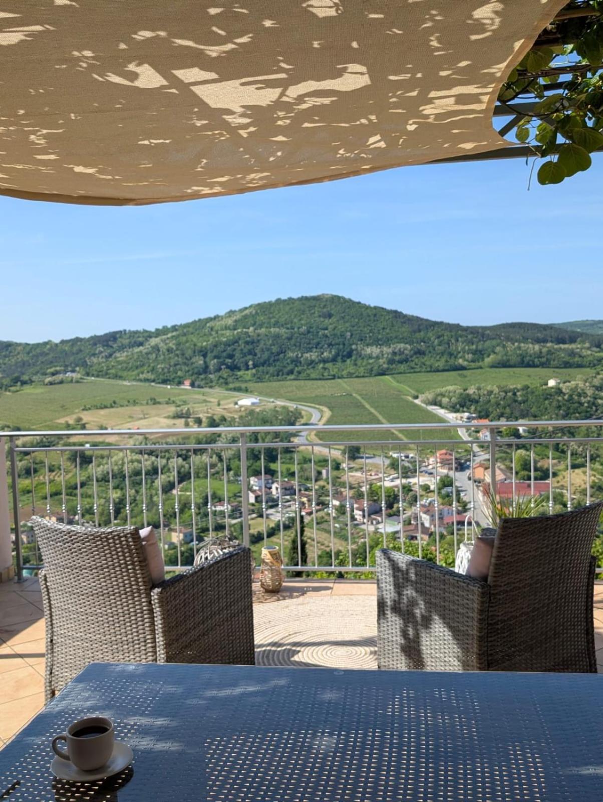 Studio Apartman Bel Vedere Motovun Bagian luar foto