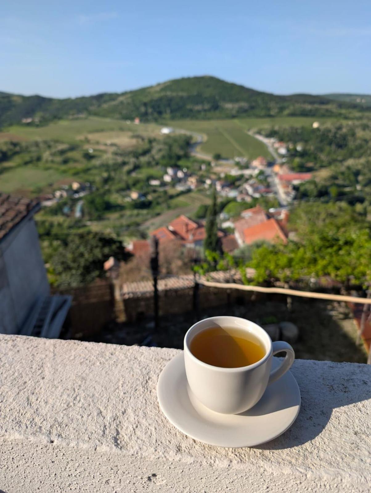 Studio Apartman Bel Vedere Motovun Bagian luar foto